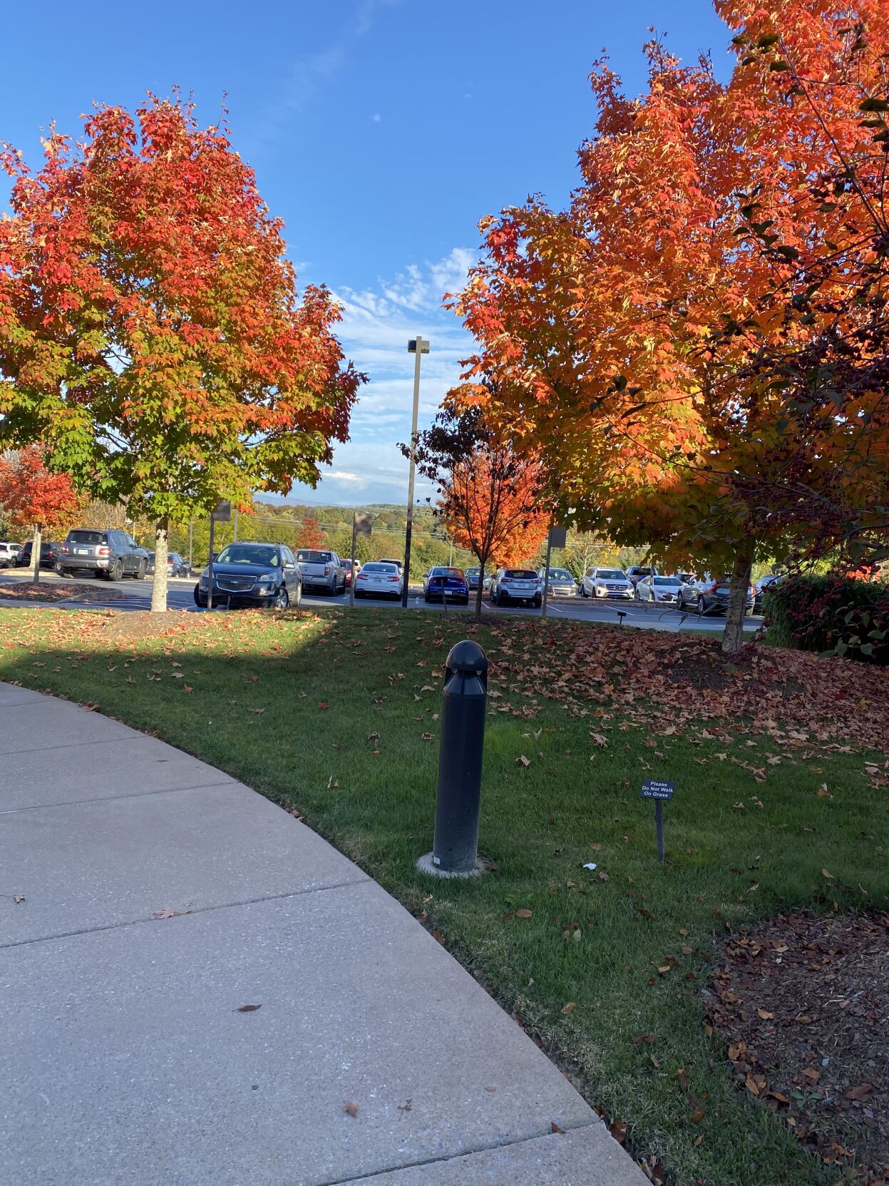 fall scene.jpg